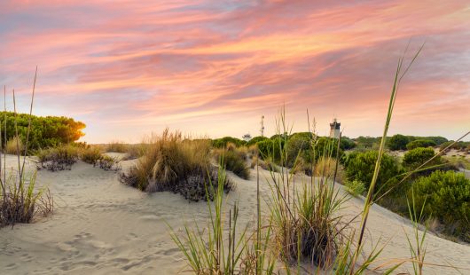 Phare-de-l-Espiguette2-DR_OT Le Grau du Roi