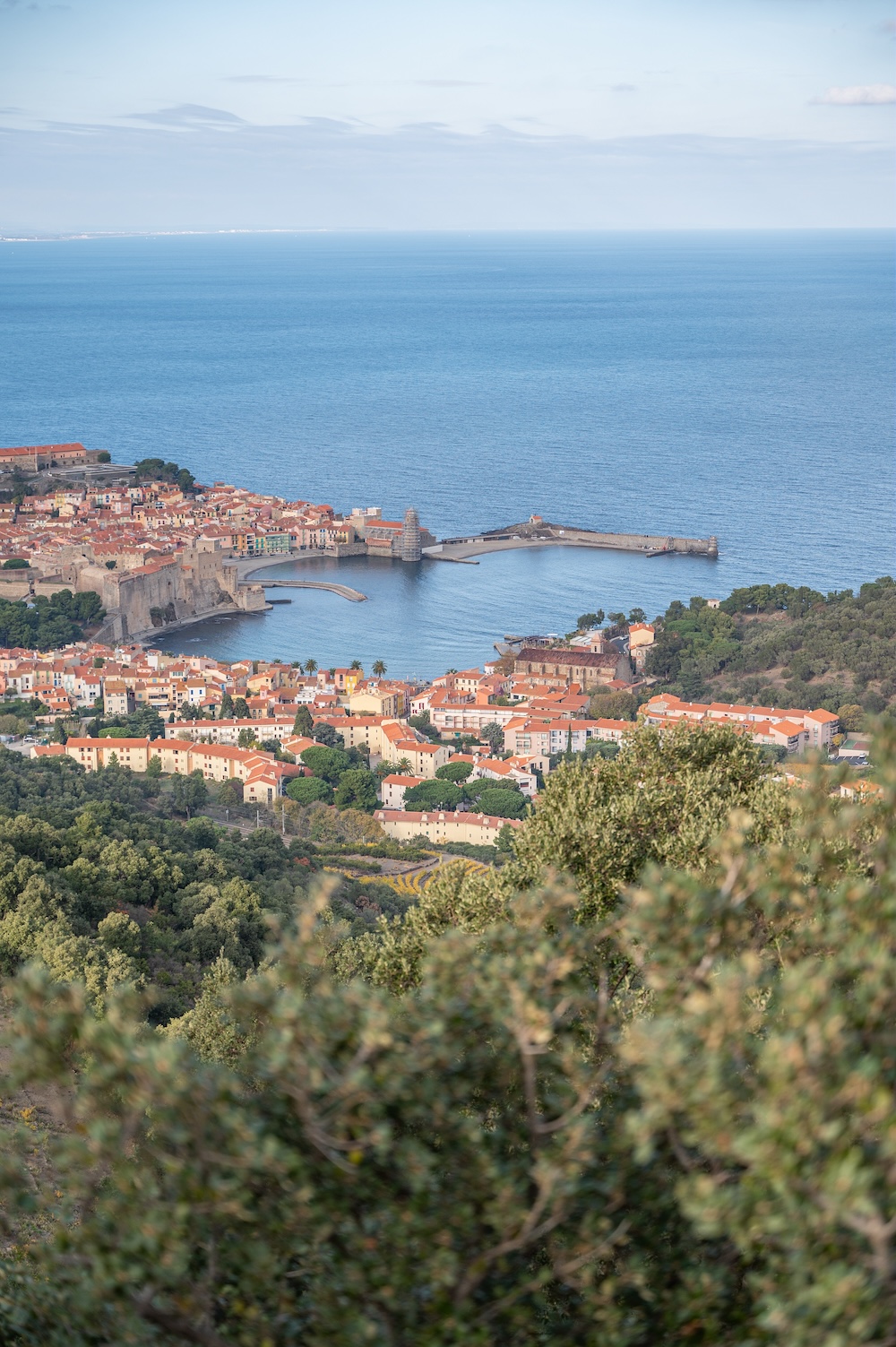 Collioure©Guillaume_Payen Collioure©Guillaume_Payen