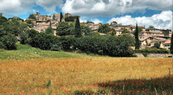 Bruniquel_champ de coquelicots©ADT82_Lauriane_Donzelli