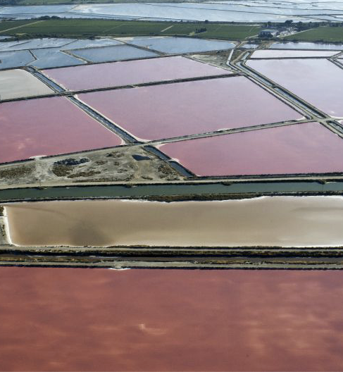 Salins du Midi©Salins du Midi-DR-OT Aigues Mortes